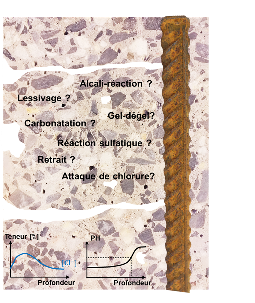 Diagnostic la base d une réparation durable du béton Cric